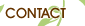 speech and language specialist